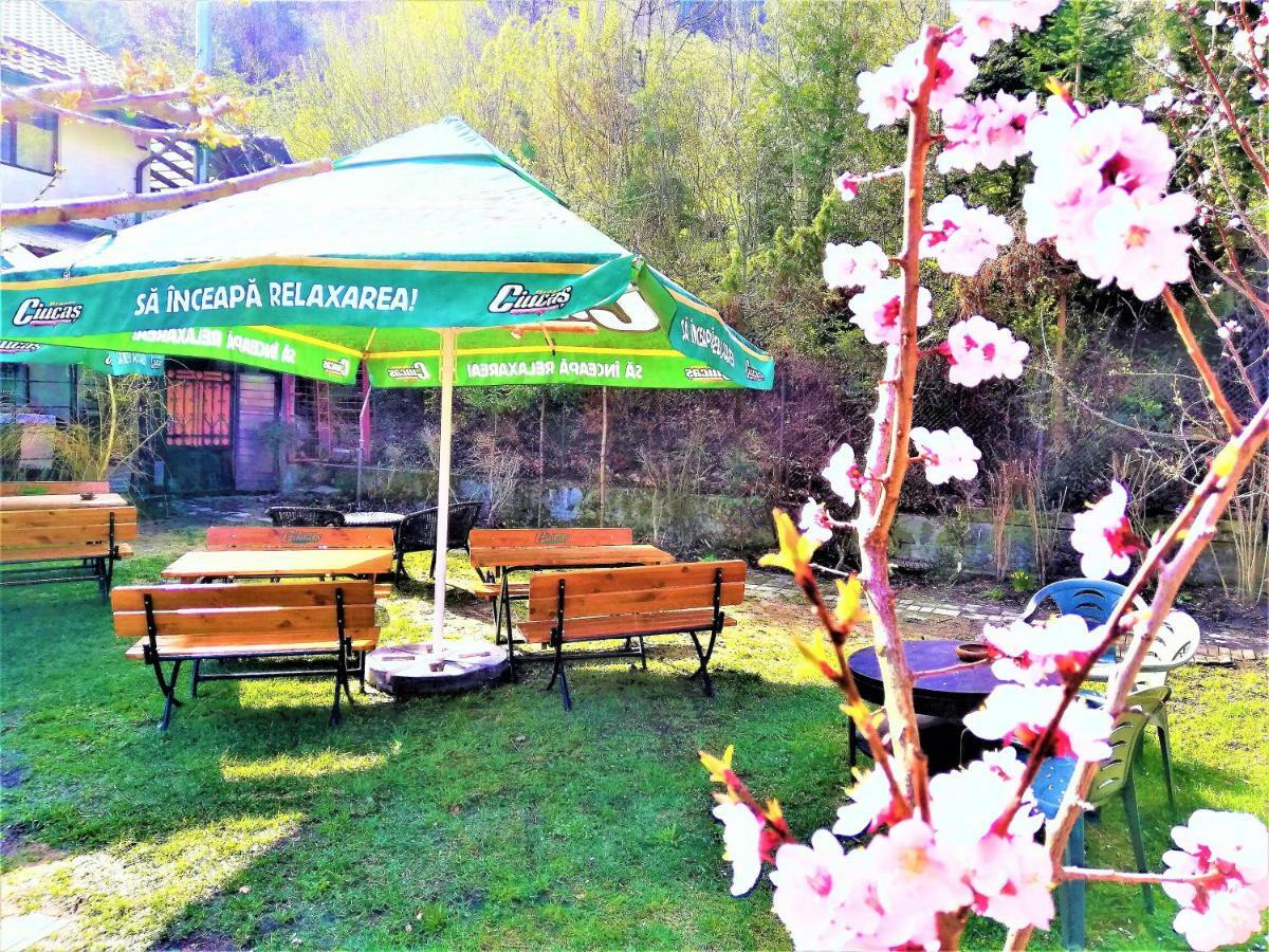 Pensiune Leyla Castel 2*