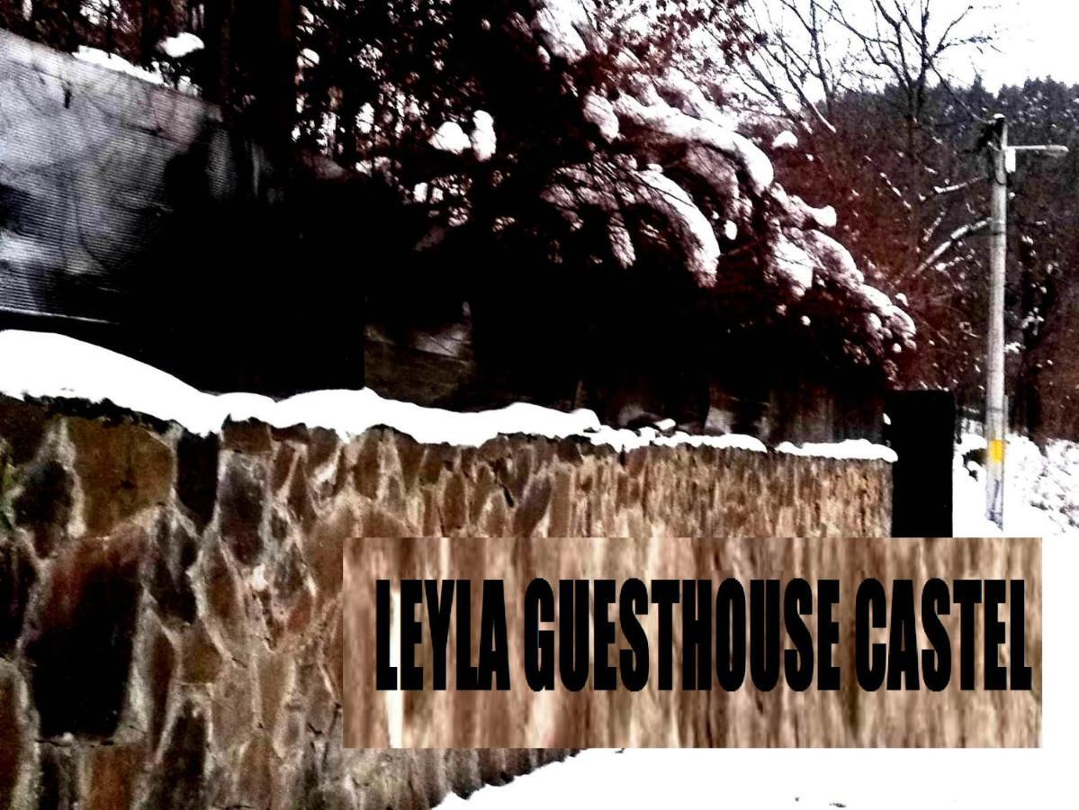 Leyla Castel