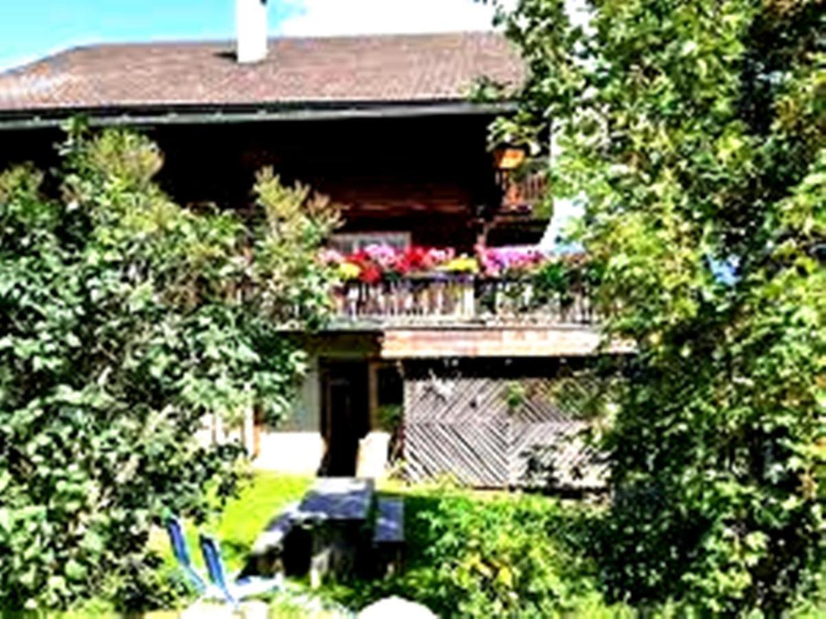 Leyla Castel Pensiune Brașov